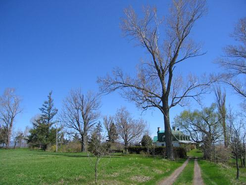 Domaine Pointe-de-Saint-Vallier