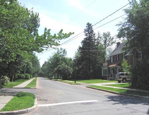 Carré Celanese