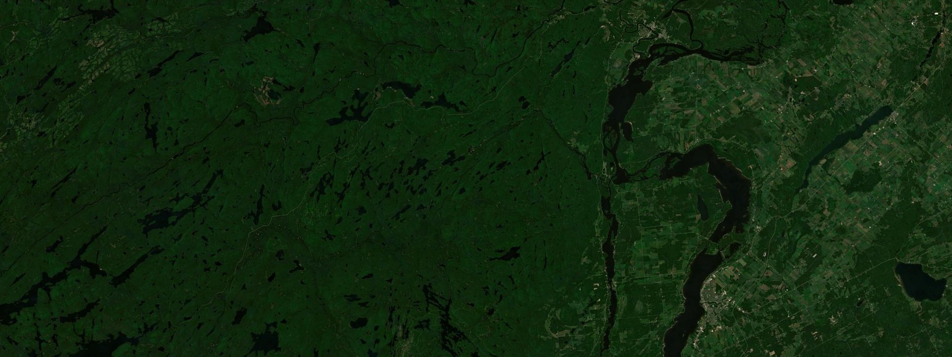 Vue satellite de Waltham