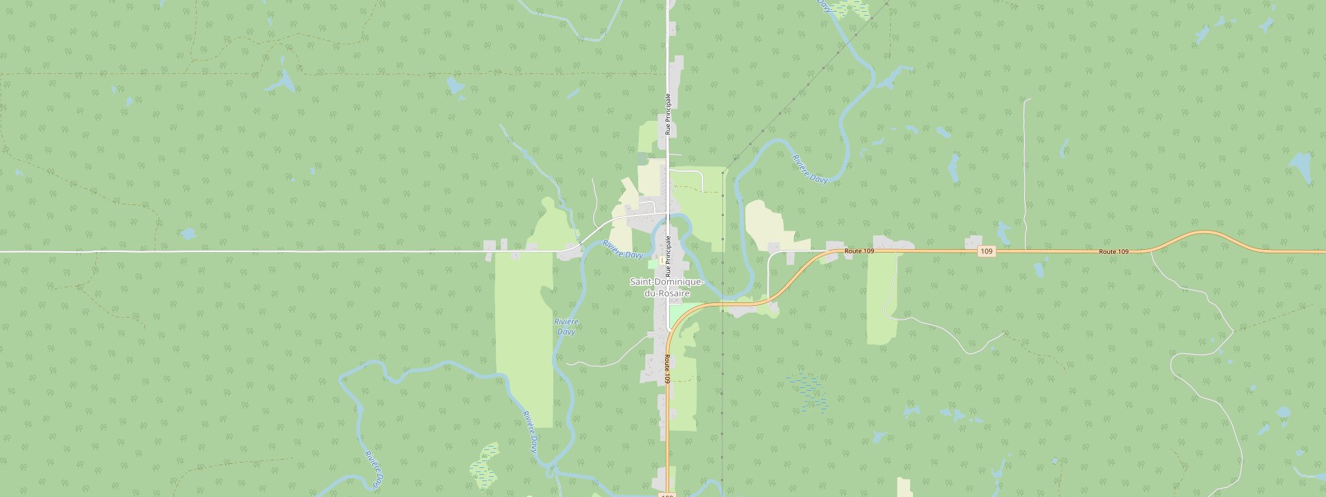 Plan des rues de Saint-Dominique-du-Rosaire